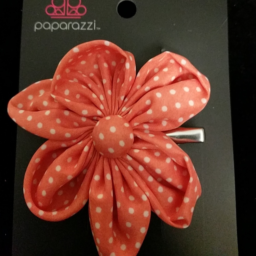 Hairclip 1/$8 or 3/$15 🧡